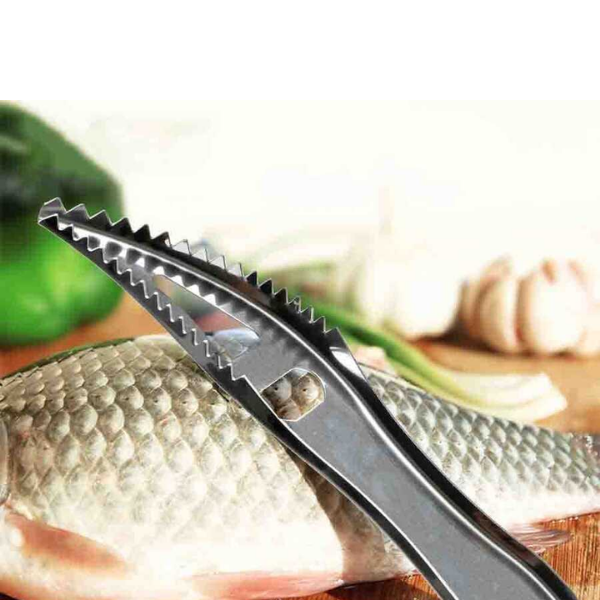Fish Scaler, Stainless Steel Fish Cleaning Tool, Fish Scale Remover, Easy Fish Descaler